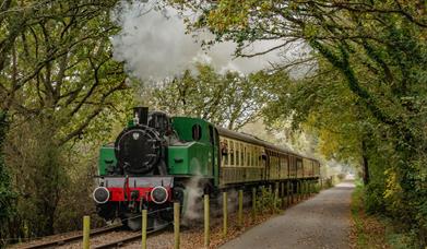 A photo of a green steam train surrounded by trees on the railway path.