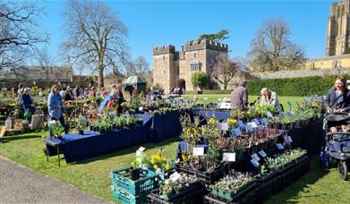 Rare Plant Fair 2024