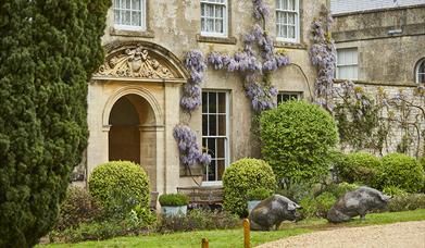 The PIG near Bath, Somerset