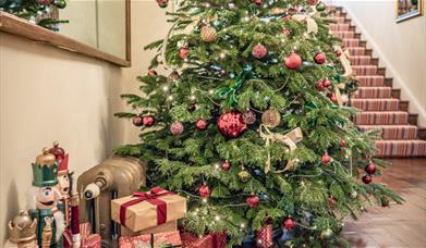 Christmas Tree At Charlton House