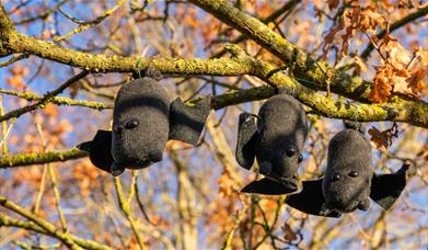 Toy bats on branch