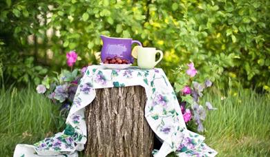 Jugs on a tree stump