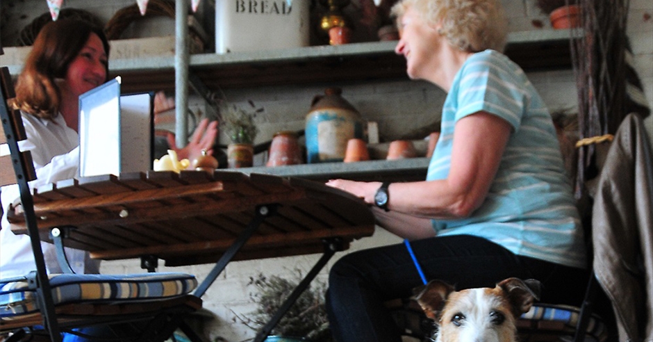 Dog friendly place to eat best sale near me