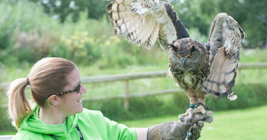 Avon Valley Adventure & Wildlife Park - Visit Bath