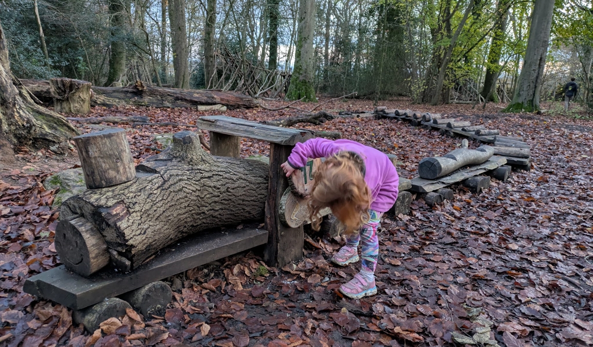 Copyright NT / Tabi Collins