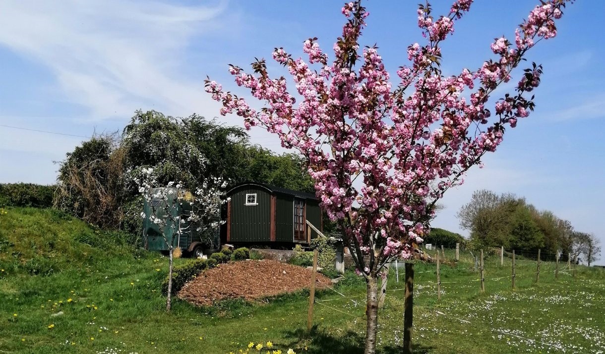 Shepherds hut exterior