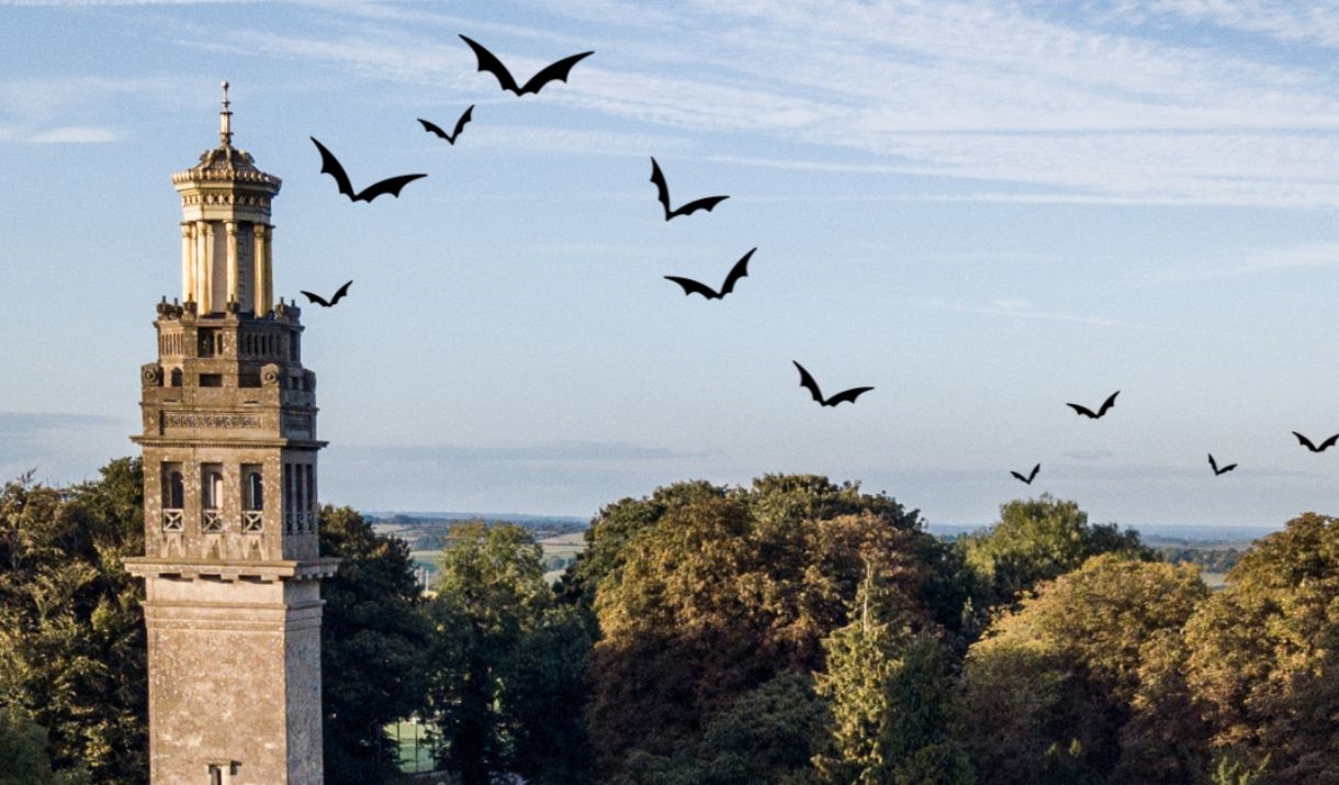 Beckford's Tower with bats