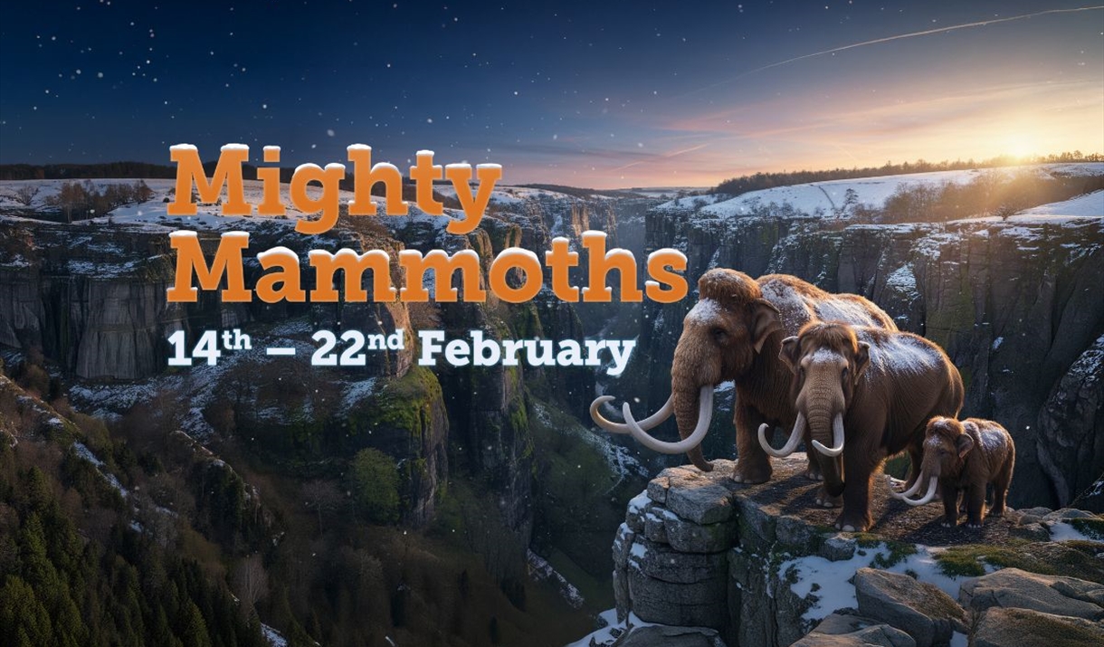Mighty Mammoths