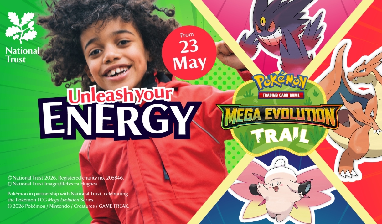 Pokemon graphics and a child