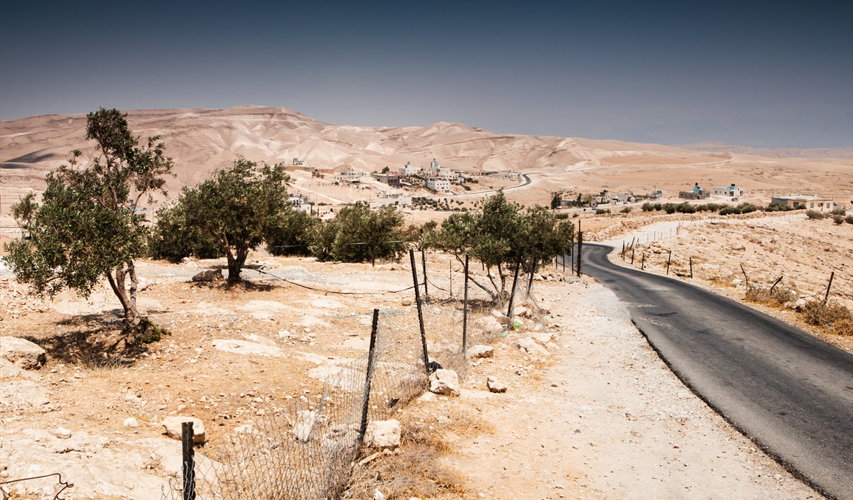 A view scape of the West Bank - a long winding road in the desert with olive tress scattered and a village in the distance