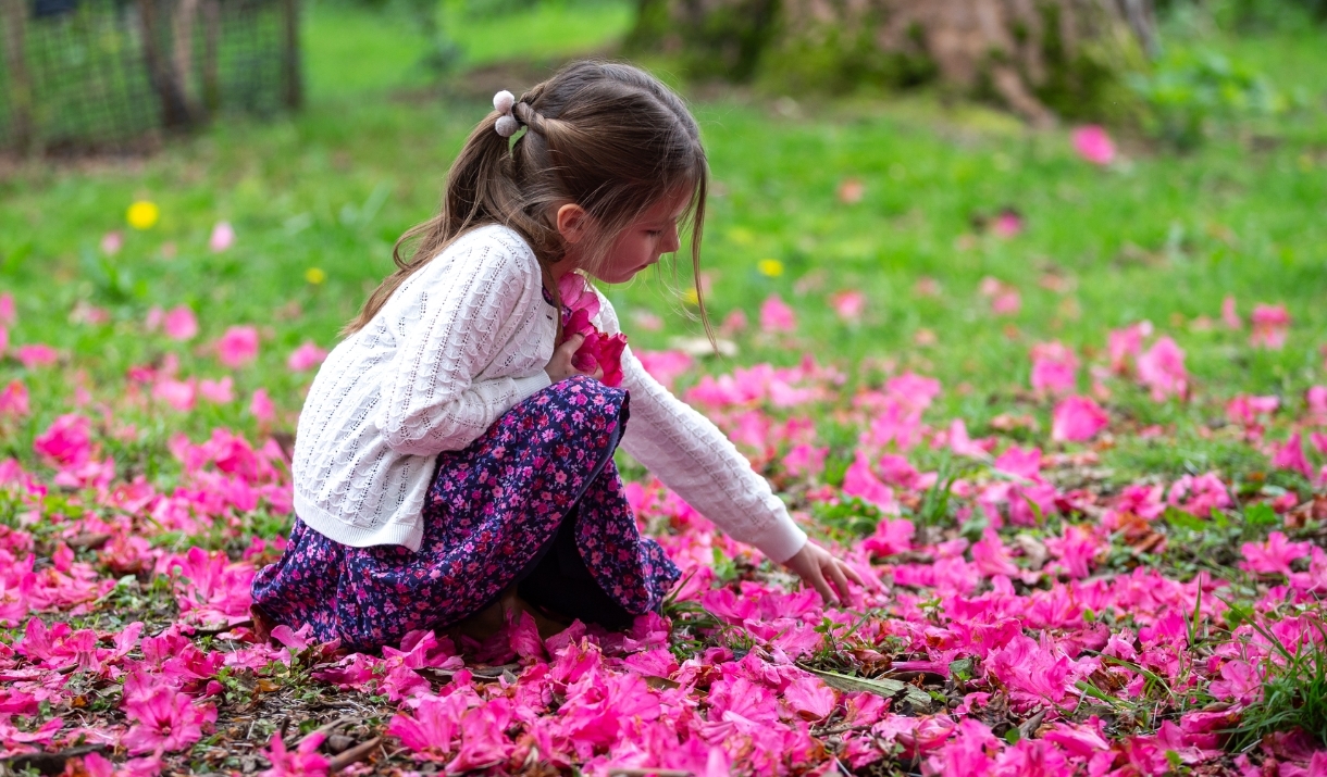 young girl collecting pink flower petals from the ground