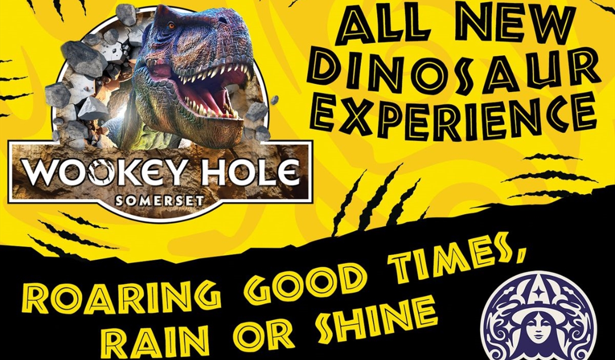 Poster for the event