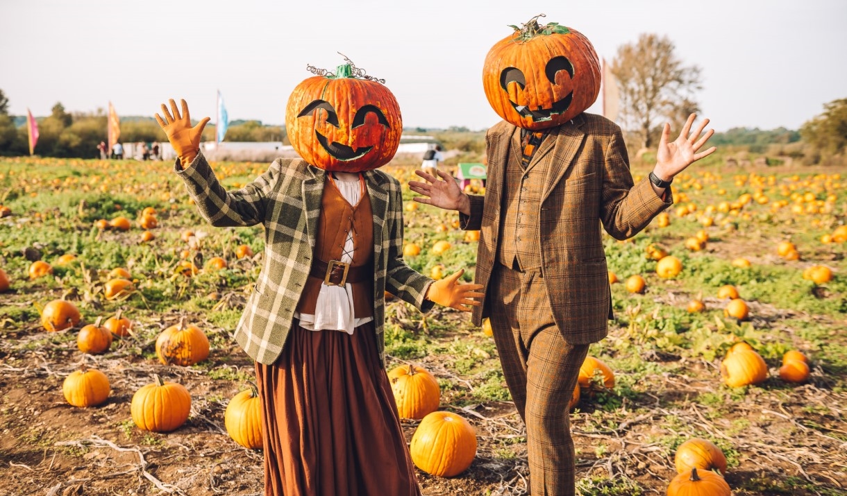 Pumpkin Patch at Avon Valley Adventure and Wildlife Park