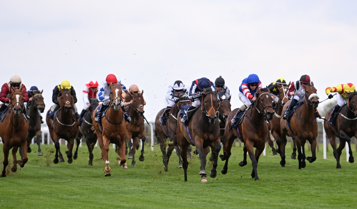 A group of horses and their jockeys racing on a racecourse