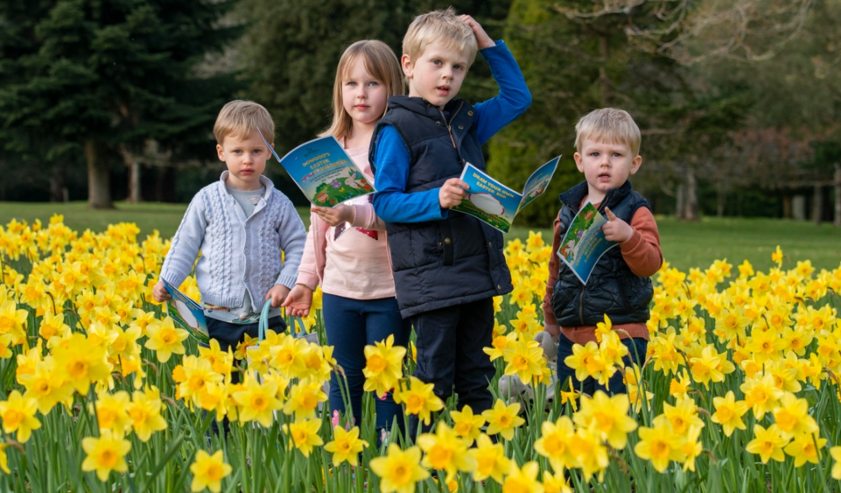 Children playing in daffodils to advertise Bowood's Spring Adventure