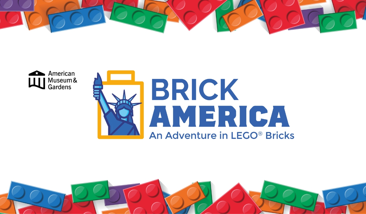 Adventure bricks discount