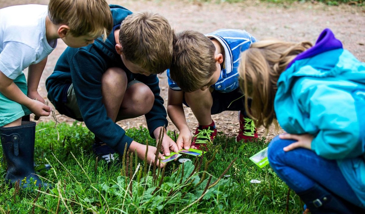 children crouching and looking for items on grass