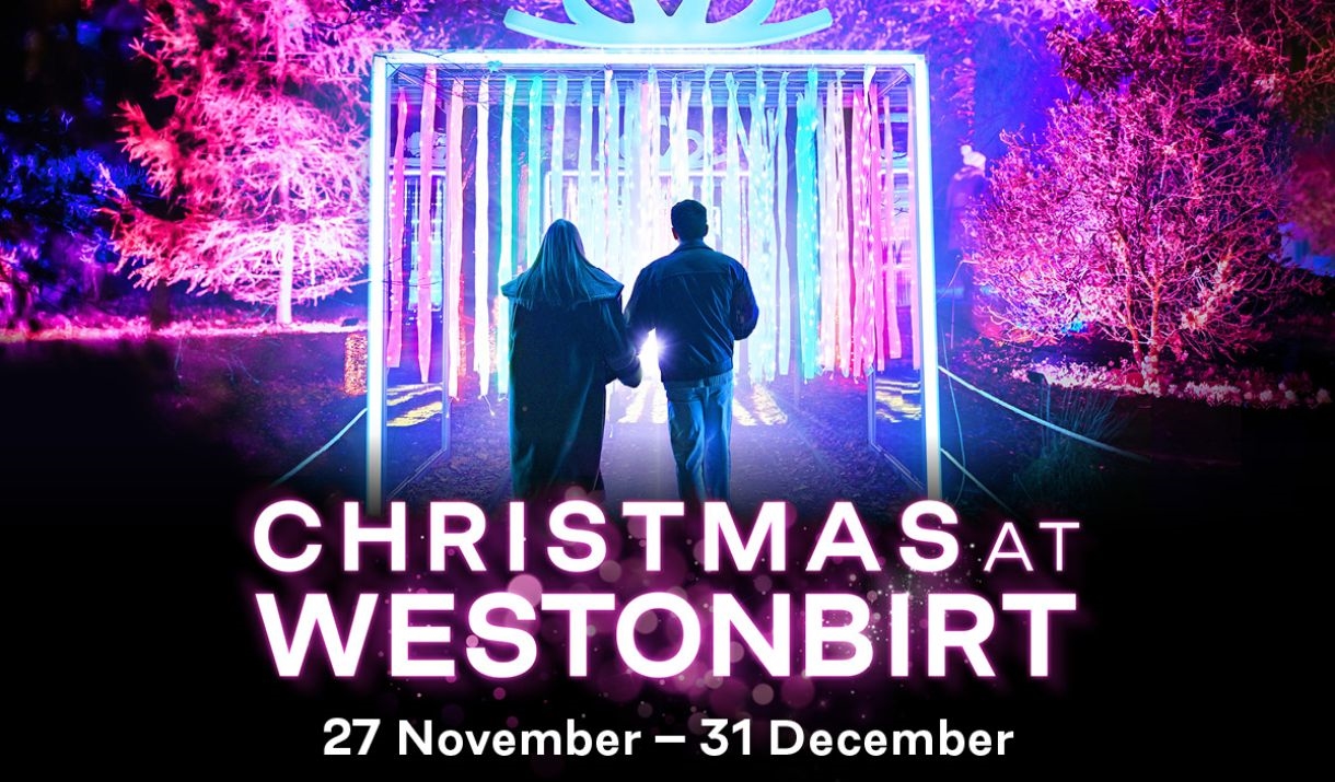 family watch colourful light display at night