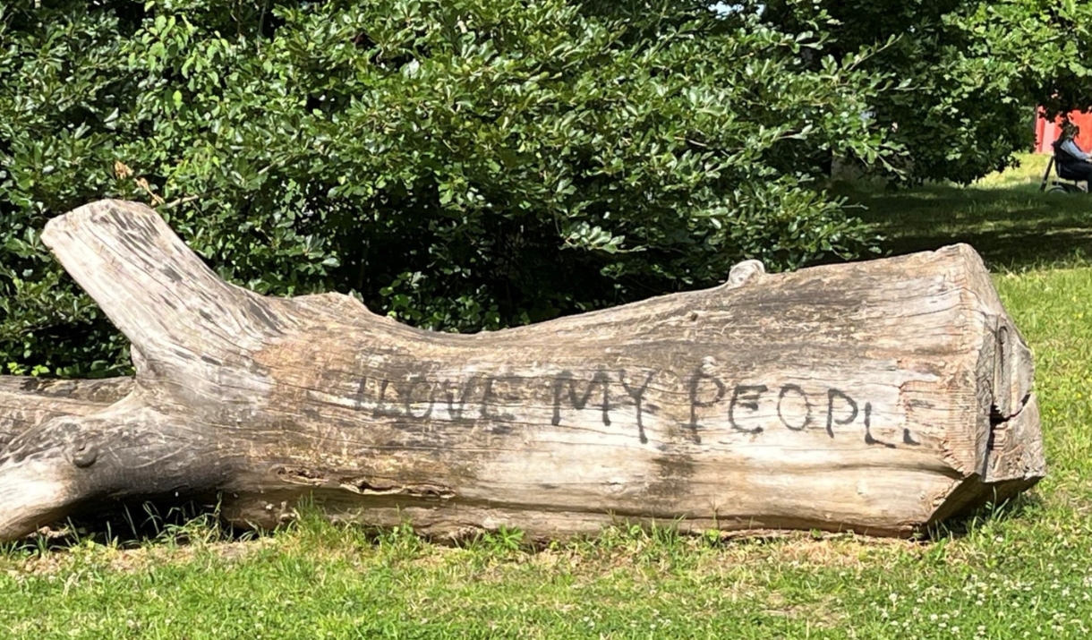 Tree-trunk with carved writing