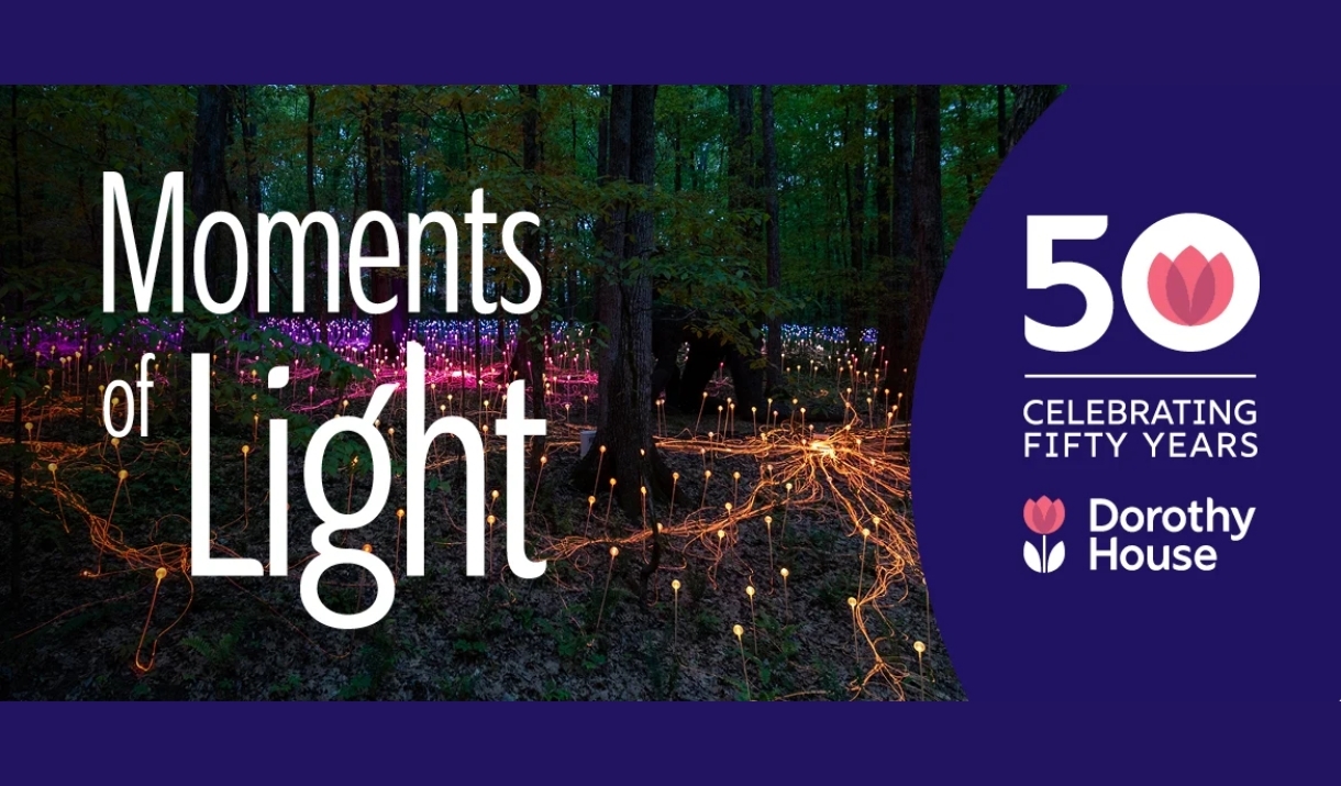 Moments of Light Bruce Munro Dorothy House
