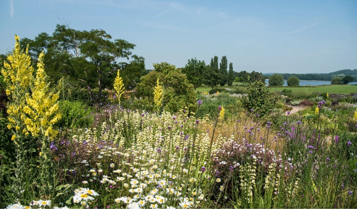 Yeo Valley Organic Garden