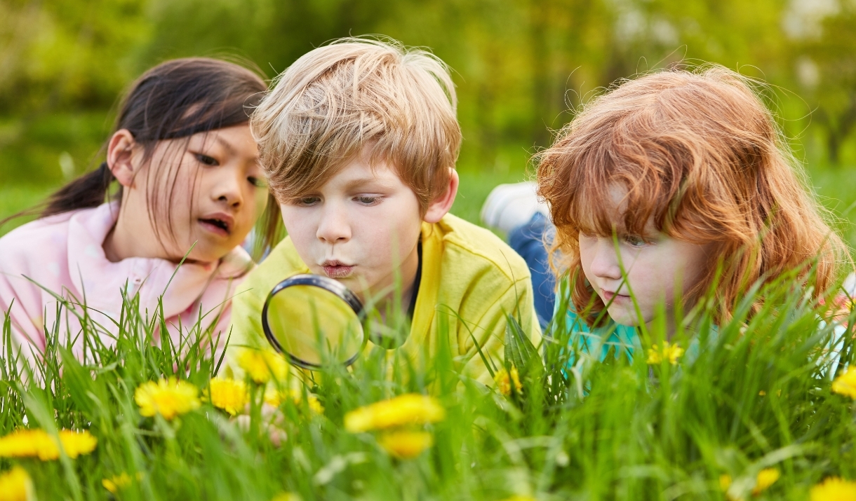 Summer Explorers