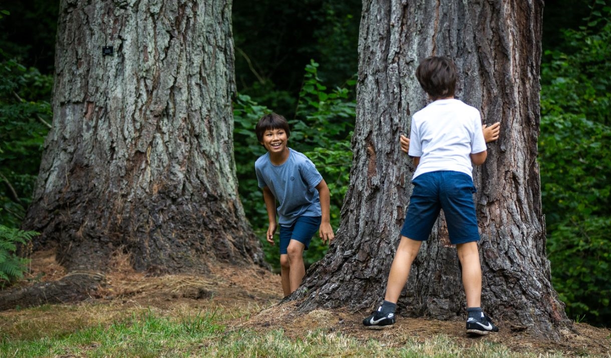 two boys playing outside peeping around a tree  trunk
