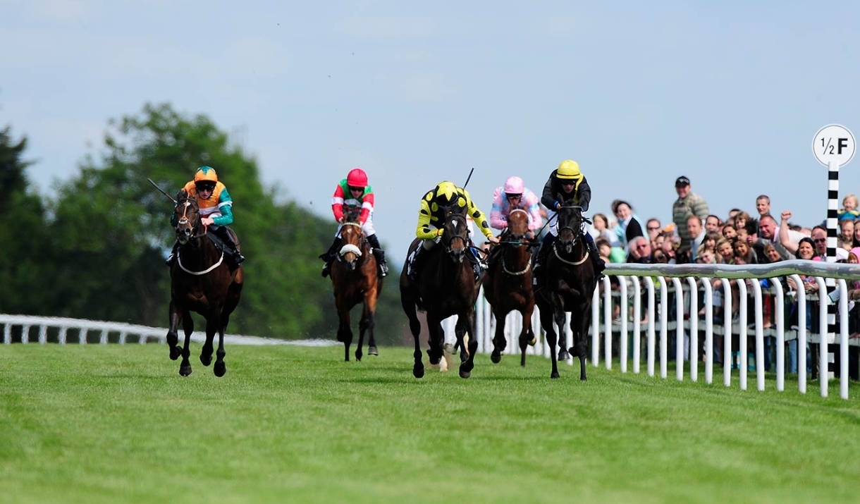 Bath Racecourse