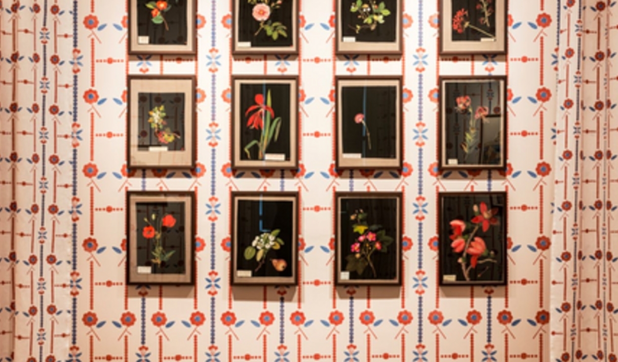 Image of the exhibition and wallpaper Mary Delany created