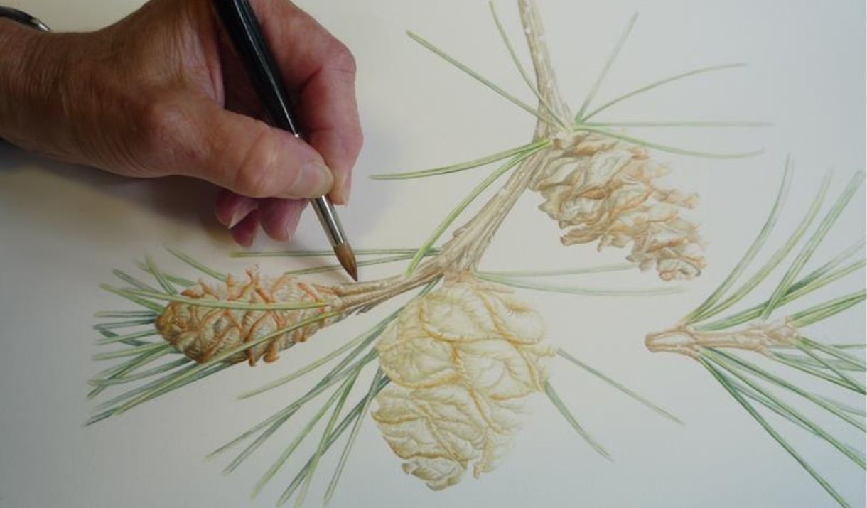 hand drawing a painting of a tree leaf