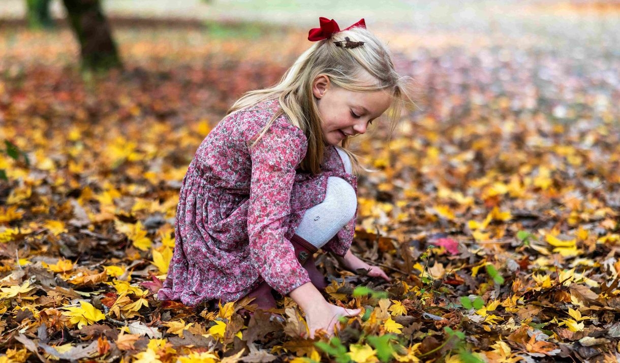 young child reaching down to pick up autumn leaves