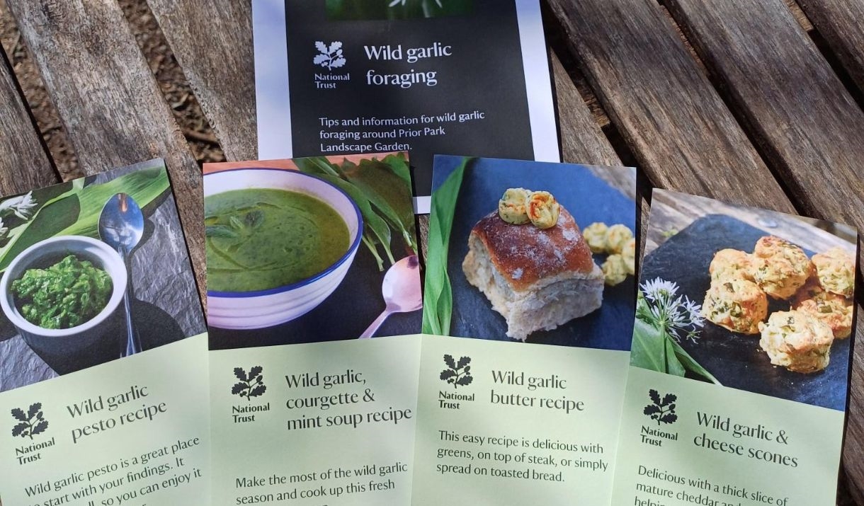 Wild garlic foraging at Prior Park
