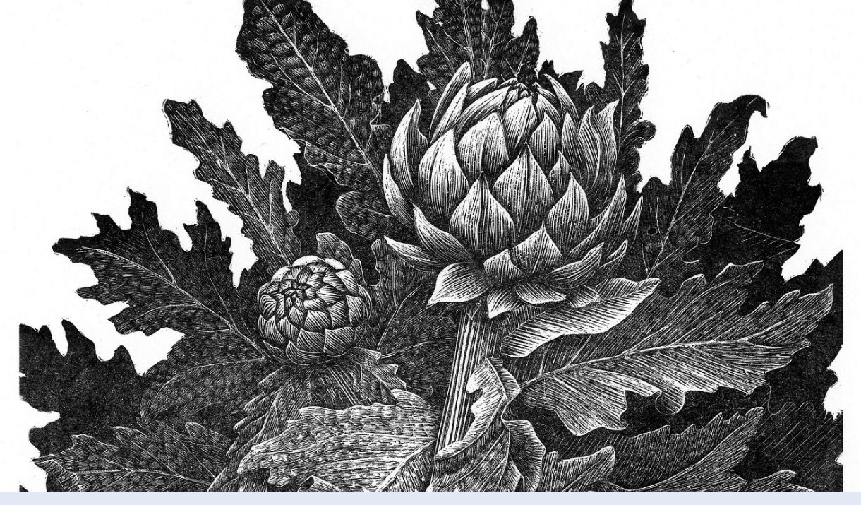 Geri Waddington – Against the Grain
