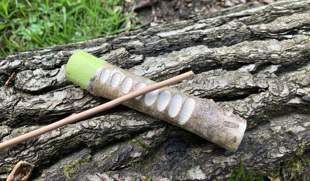 a carved stick with a twig on tree bark