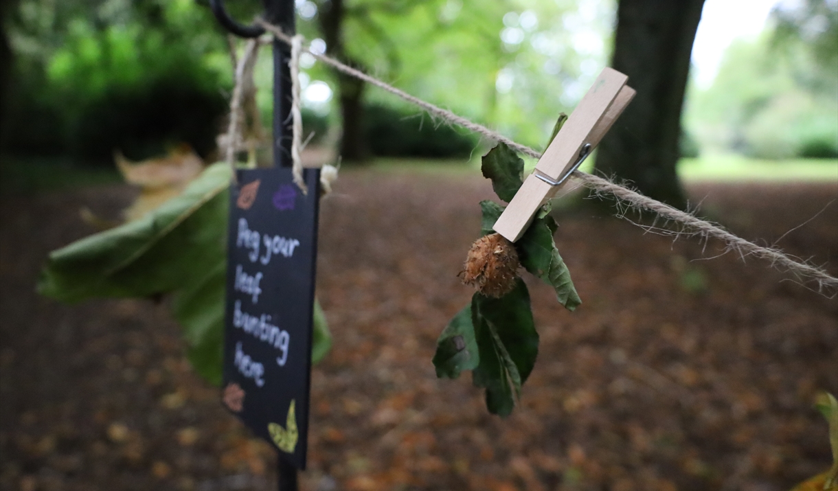 Autumn leaves hung on pegs for natural bunting at Lacock Abbey