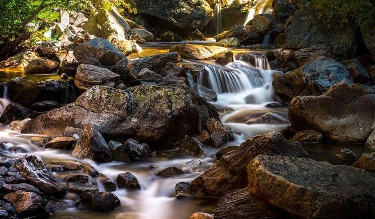 Spring Waters AI image