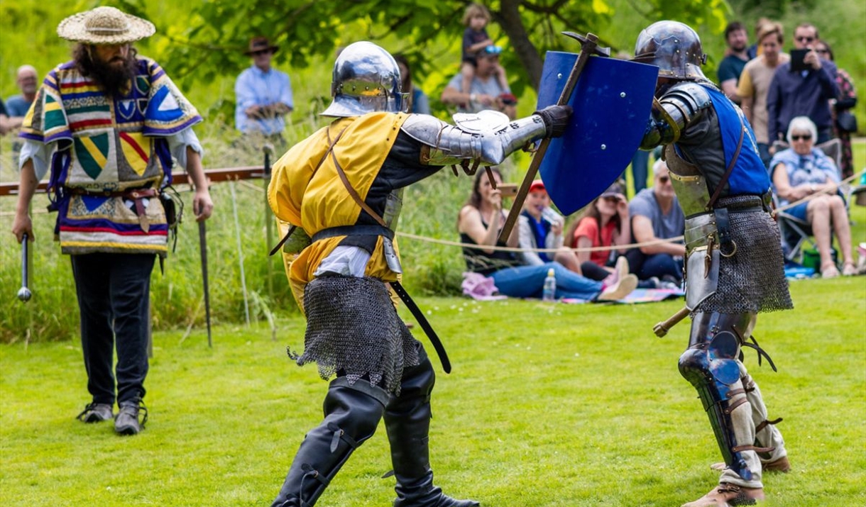 people dressed as knights fighting