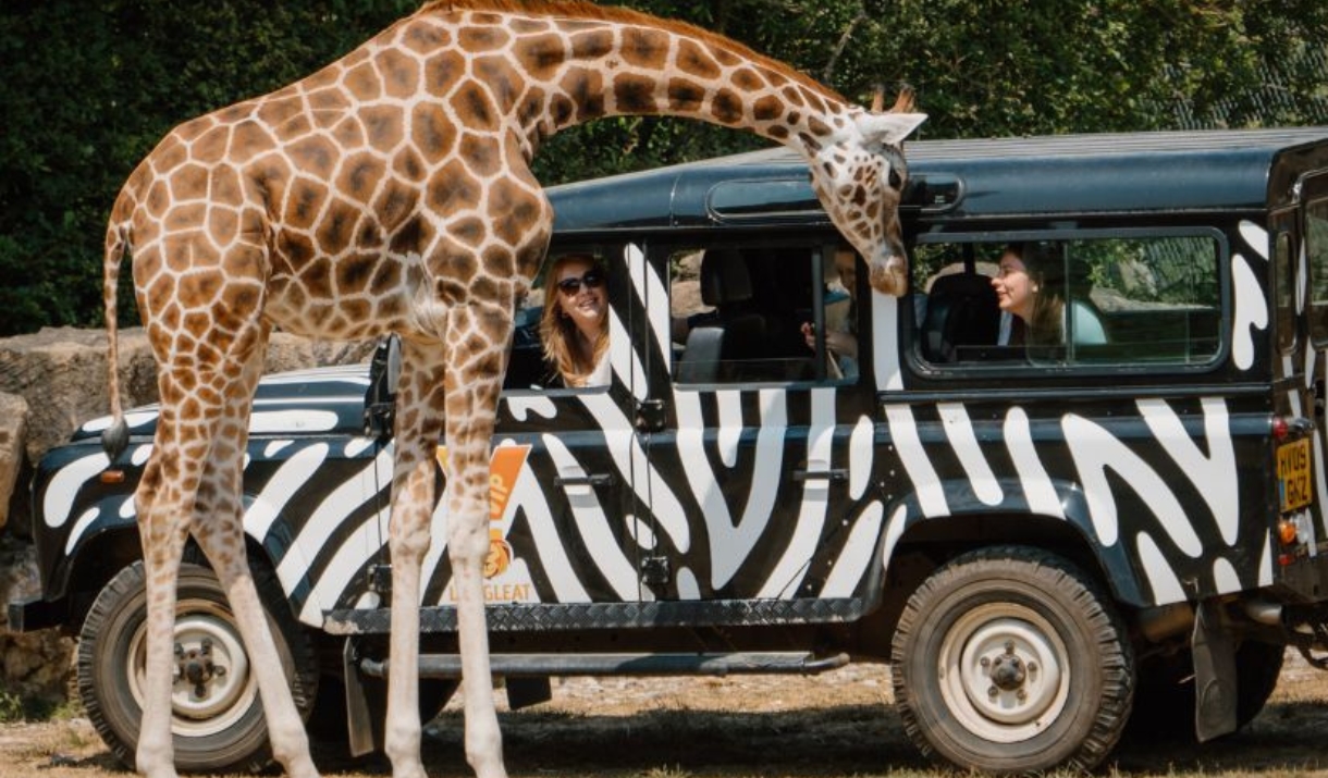 Longleat teambuilding