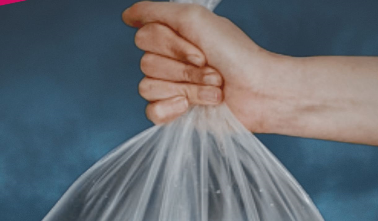 A whale in a plastic bag. Sparkfest logo in top corner