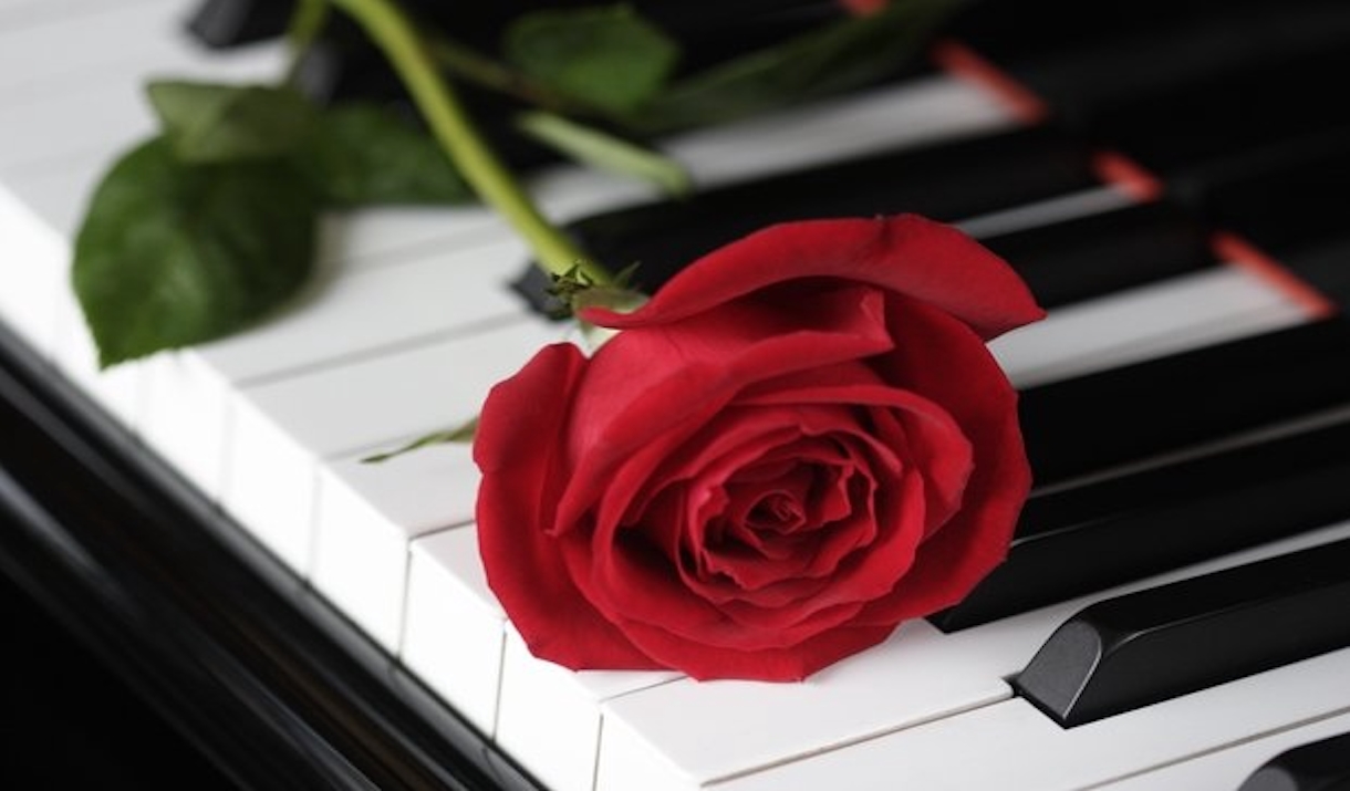 A rose lying on a piano