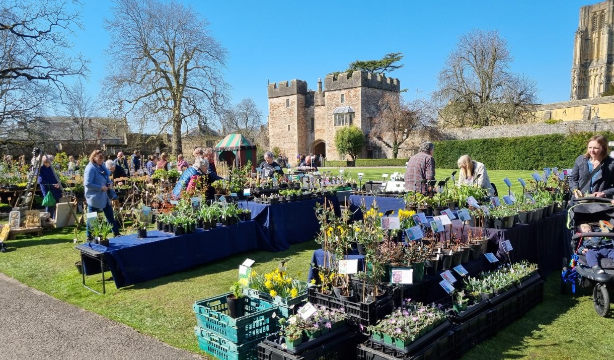 Rare Plant Fair 2024