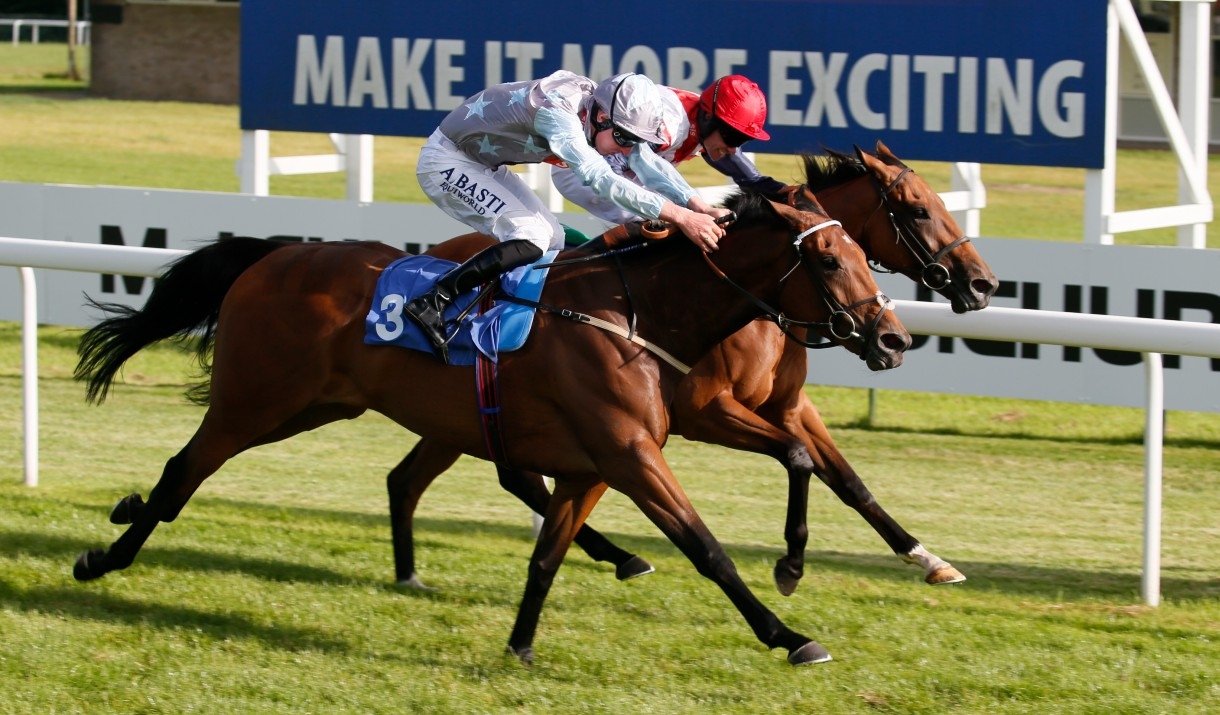 Season Finale at Bath Racecourse
