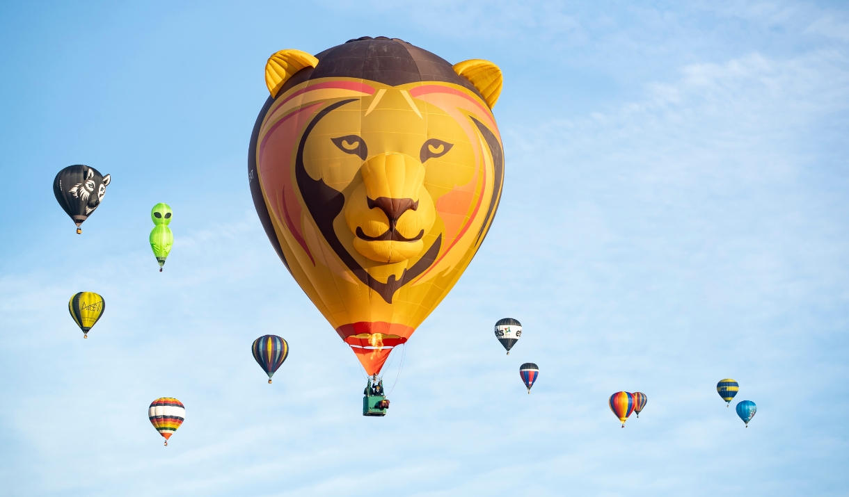 A balloon with a lioness face and ears surrounded by other balloons of various shapes and sizes 
