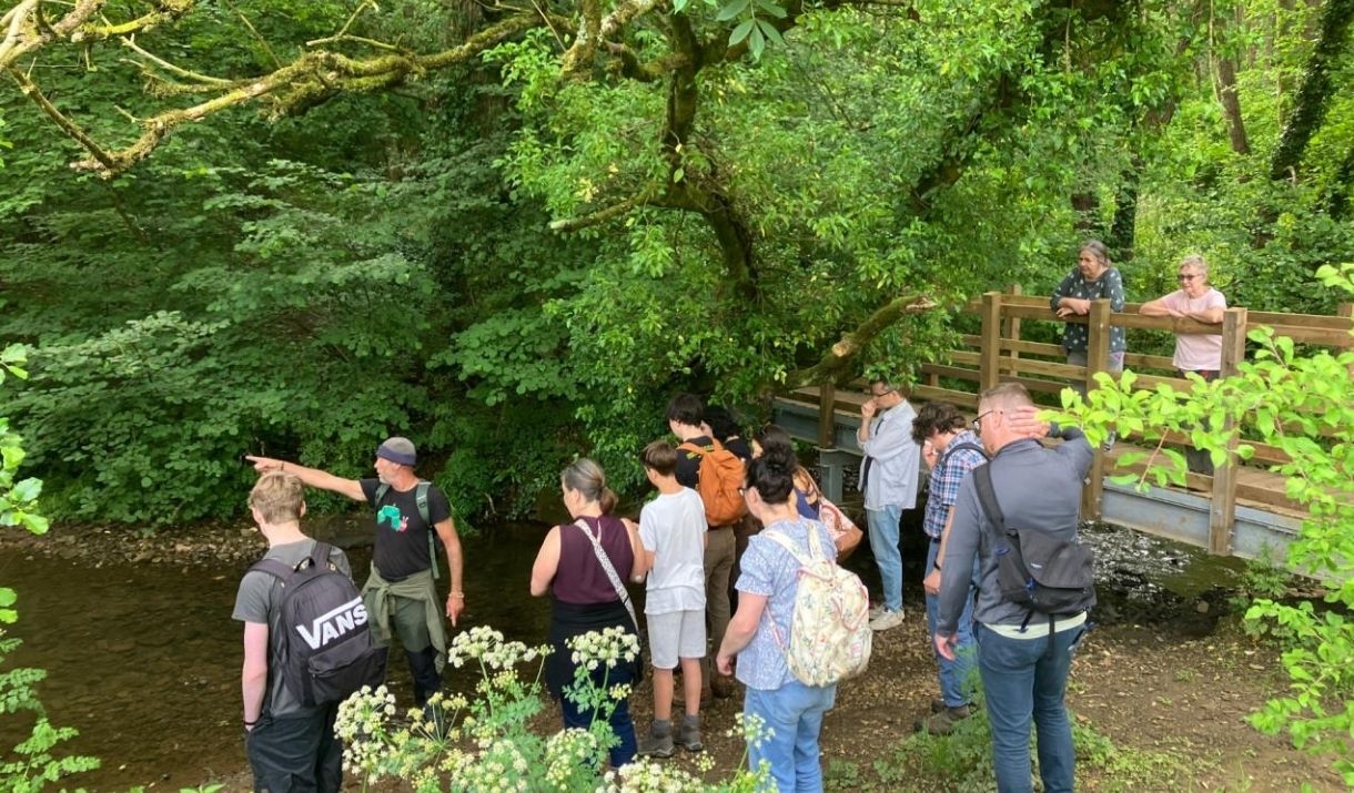 people in a woods walking together