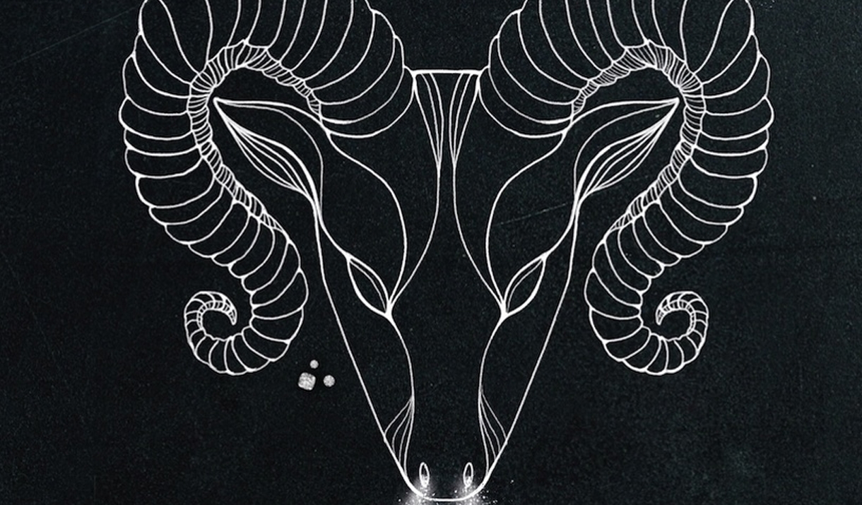 A photo of a ram, reflecting the star sign.