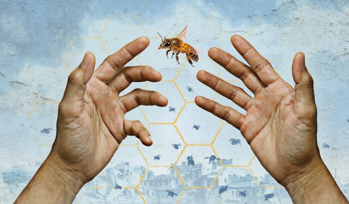 Two hands reach toward a bee in mid-air.