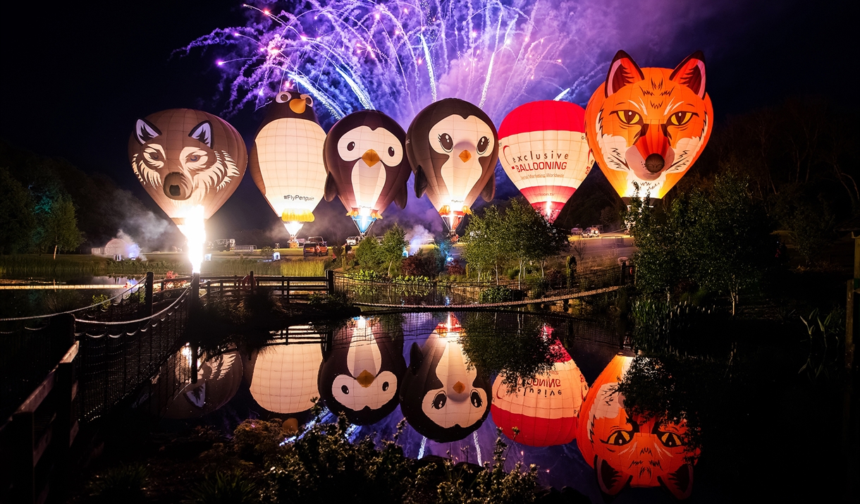 Hot air balloons
