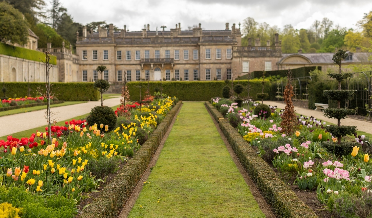Tulips in front of a historic house