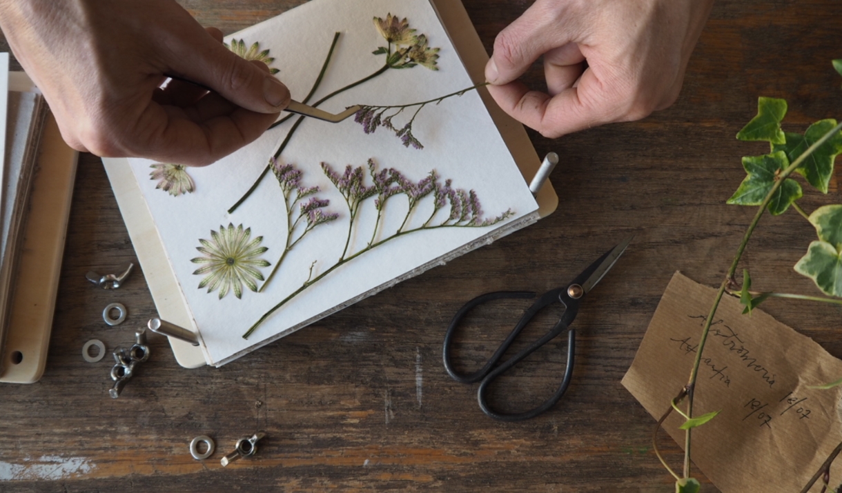 Pressed Flower Framed Picture Workshop