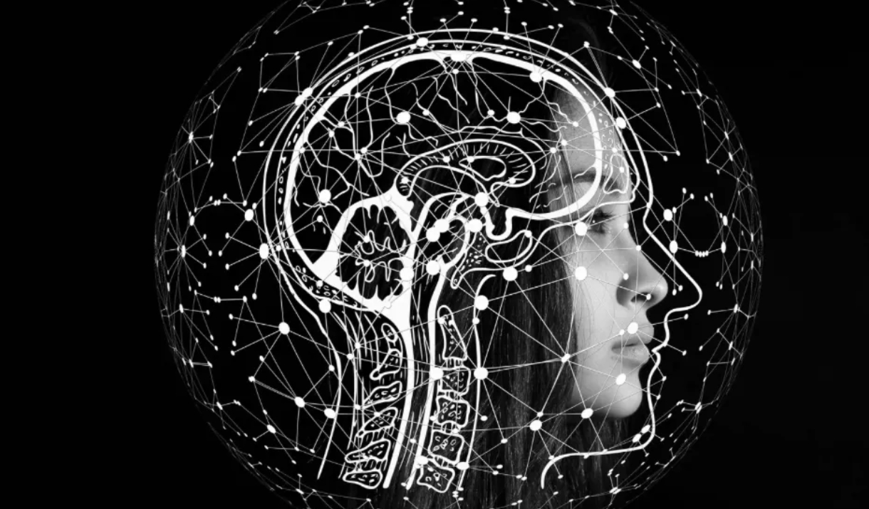 sideview of head showing brain